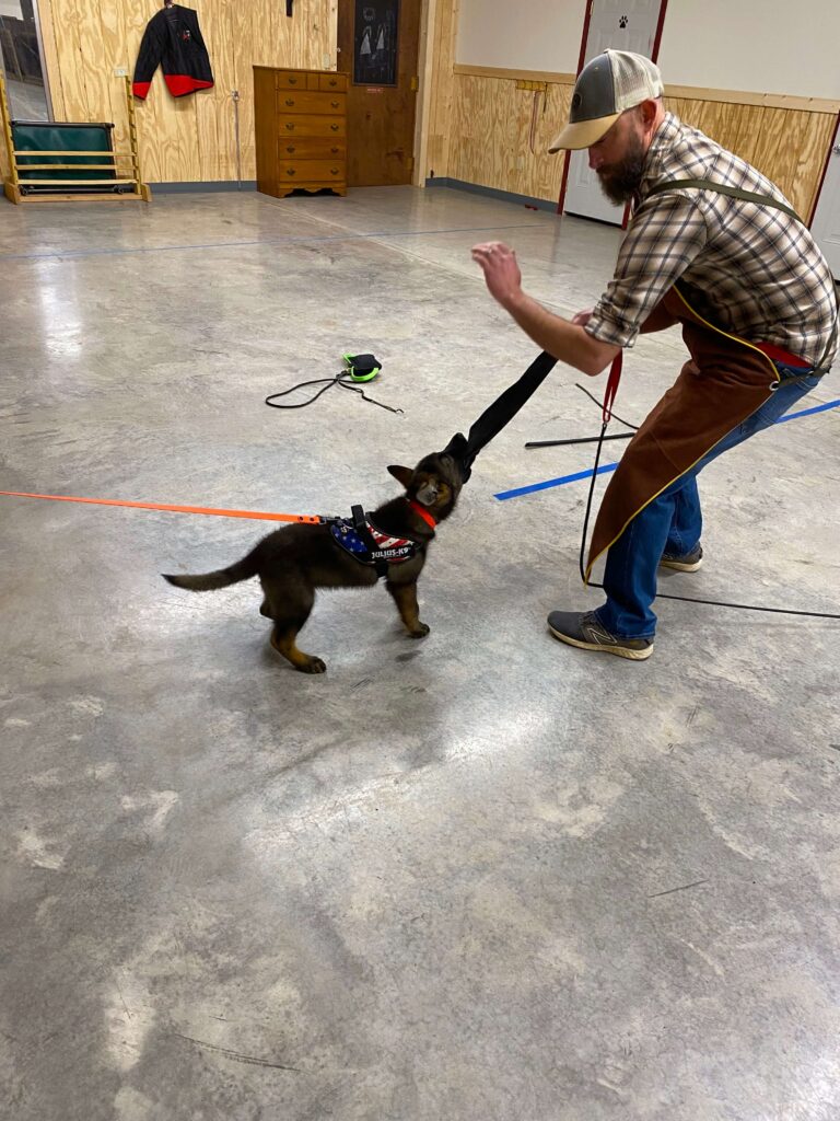 man training puppy