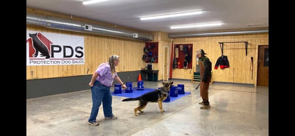 woman and man training dog for family protection