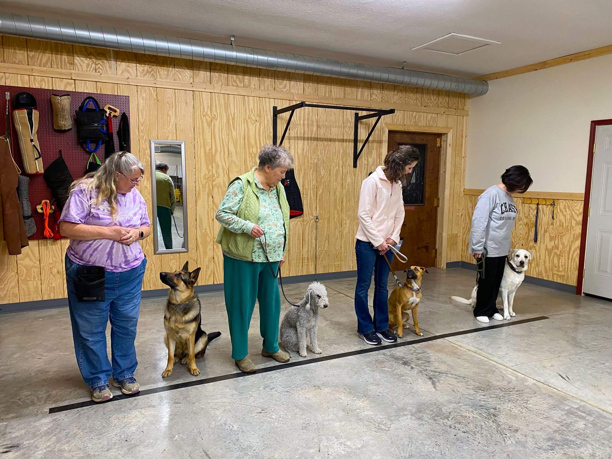 owners looking down at their dogs