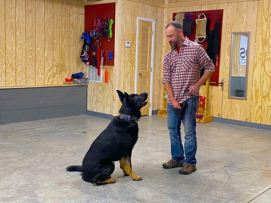 man giving dog a treat for sitting